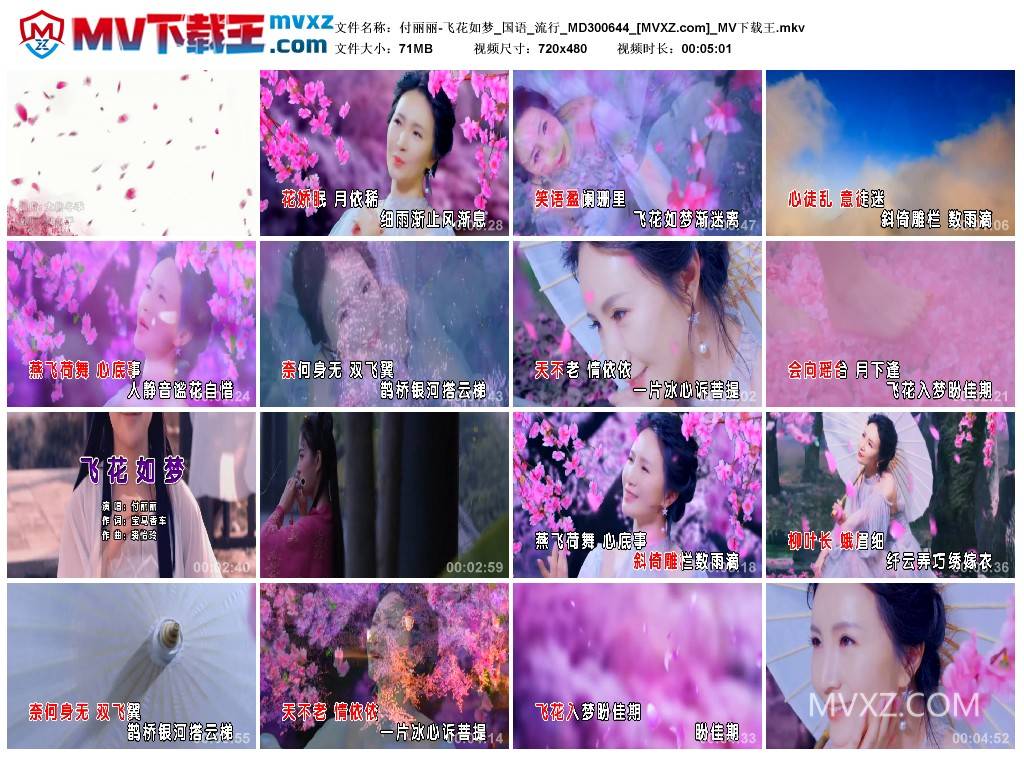 付丽丽-飞花如梦_国语_流行_MD300644